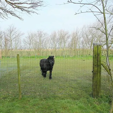 Holiday Mooi Texel Ferienhaus *